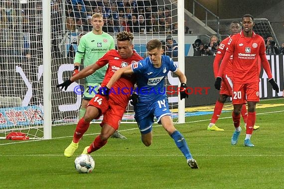 1.BL - 19/20 - TSG 1899 Hoffenheim vs. FSV Mainz 05 (© Kraichgausport / Loerz)