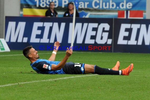 1. BL - 16/17 - TSG 1899 Hoffenheim vs. RB Leipzig (© Kraichgausport / Loerz)