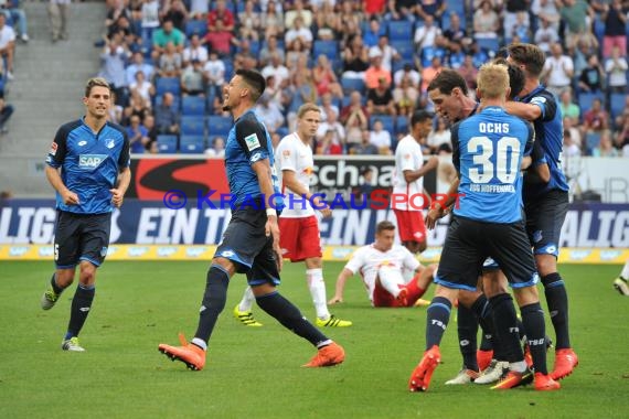 1. BL - 16/17 - TSG 1899 Hoffenheim vs. RB Leipzig (© Kraichgausport / Loerz)