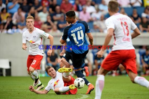 1. BL - 16/17 - TSG 1899 Hoffenheim vs. RB Leipzig (© Kraichgausport / Loerz)