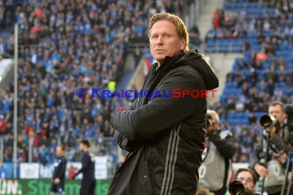 1.BL - 16/17 - TSG 1899 Hoffenheim vs. Hamburger SV (© Fotostand / Loerz)