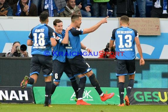 1.BL - 16/17 - TSG 1899 Hoffenheim vs. Hamburger SV (© Fotostand / Loerz)