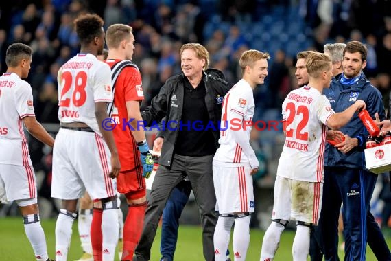 1.BL - 16/17 - TSG 1899 Hoffenheim vs. Hamburger SV (© Fotostand / Loerz)