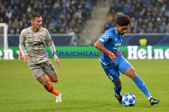 CL - 18/19 - TSG 1899 Hoffenheim vs. Schachtar Donezk (© Kraichgausport / Loerz)