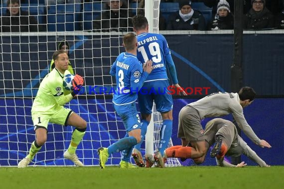 CL - 18/19 - TSG 1899 Hoffenheim vs. Schachtar Donezk (© Kraichgausport / Loerz)