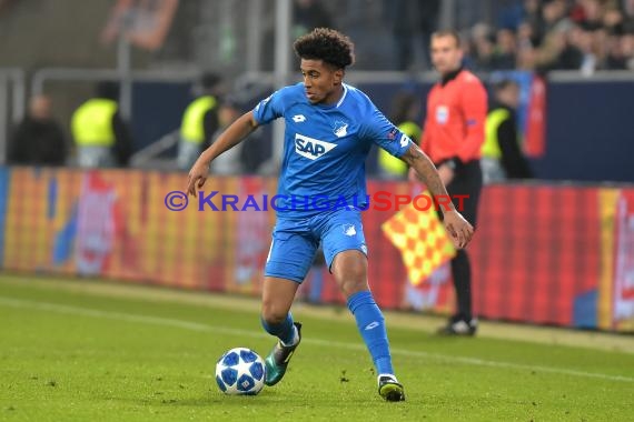 CL - 18/19 - TSG 1899 Hoffenheim vs. Schachtar Donezk (© Kraichgausport / Loerz)