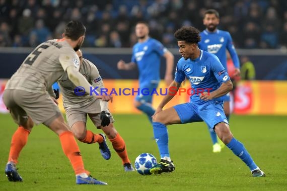 CL - 18/19 - TSG 1899 Hoffenheim vs. Schachtar Donezk (© Kraichgausport / Loerz)