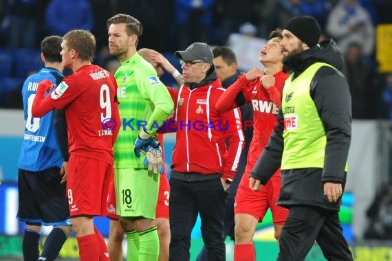 1.BL - 16/17 - TSG 1899 Hoffenheim vs. 1. FC Koeln (© Fotostand / Loerz)